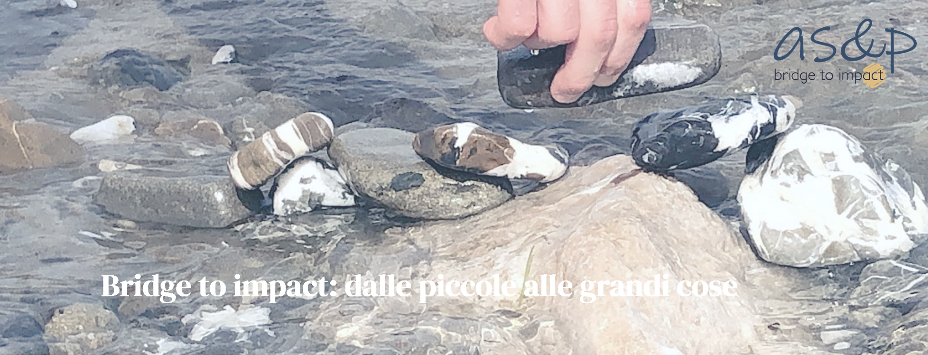 ANTONELLA SCOTESE NUOVA AREA MANAGER SINLOC A ROMA