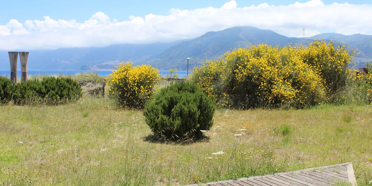 SINLOC E FONDAZIONE DI COMUNITA’ DI MESSINA INSIEME PER PROGETTI IN TEMA DI PNRR