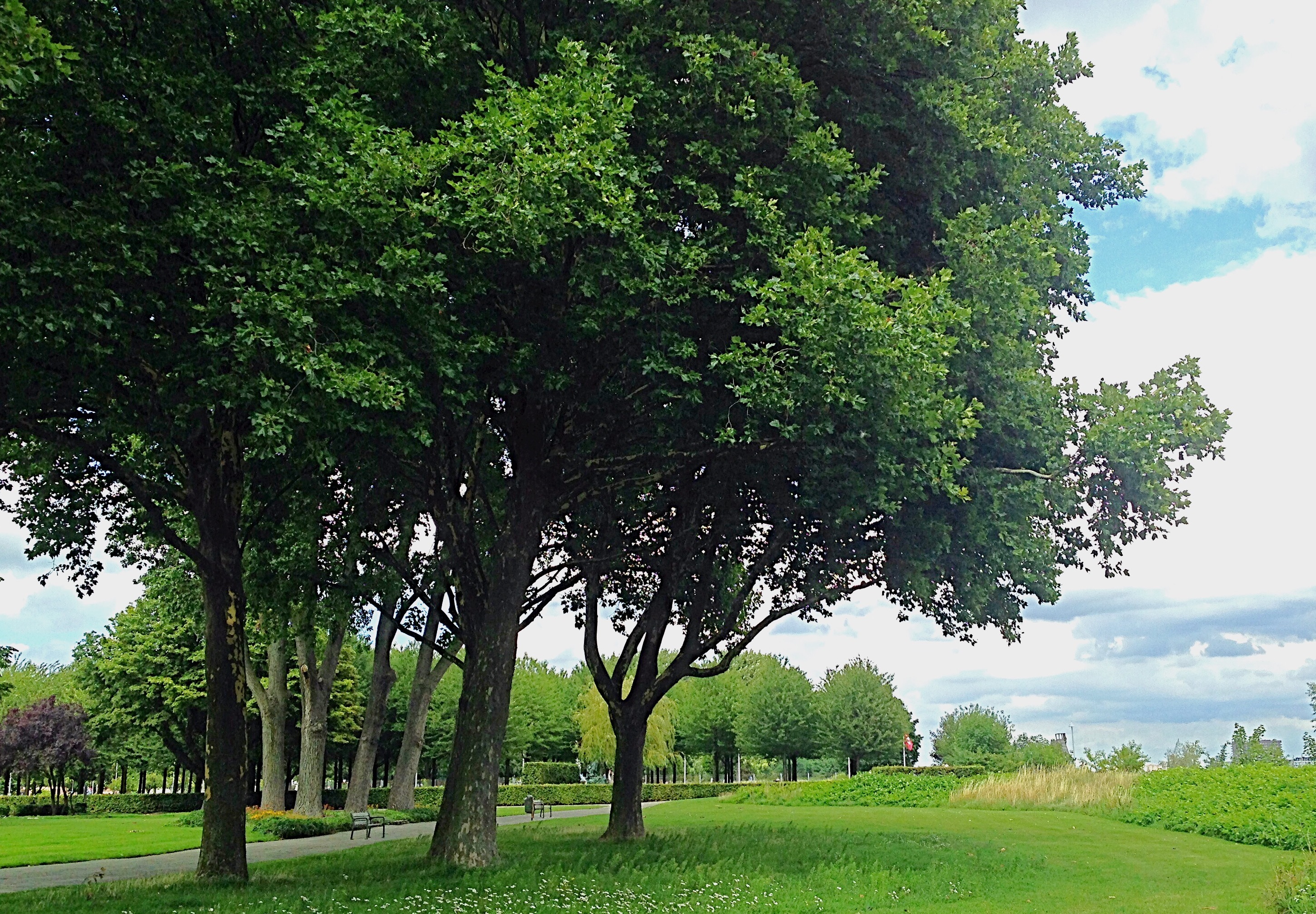 ULTIMATO IL PROGETTO DI REALIZZAZIONE PER LO STUDIO DI UN MODELLO DI GESTIONE DELLE AREE VERDI A MODENA