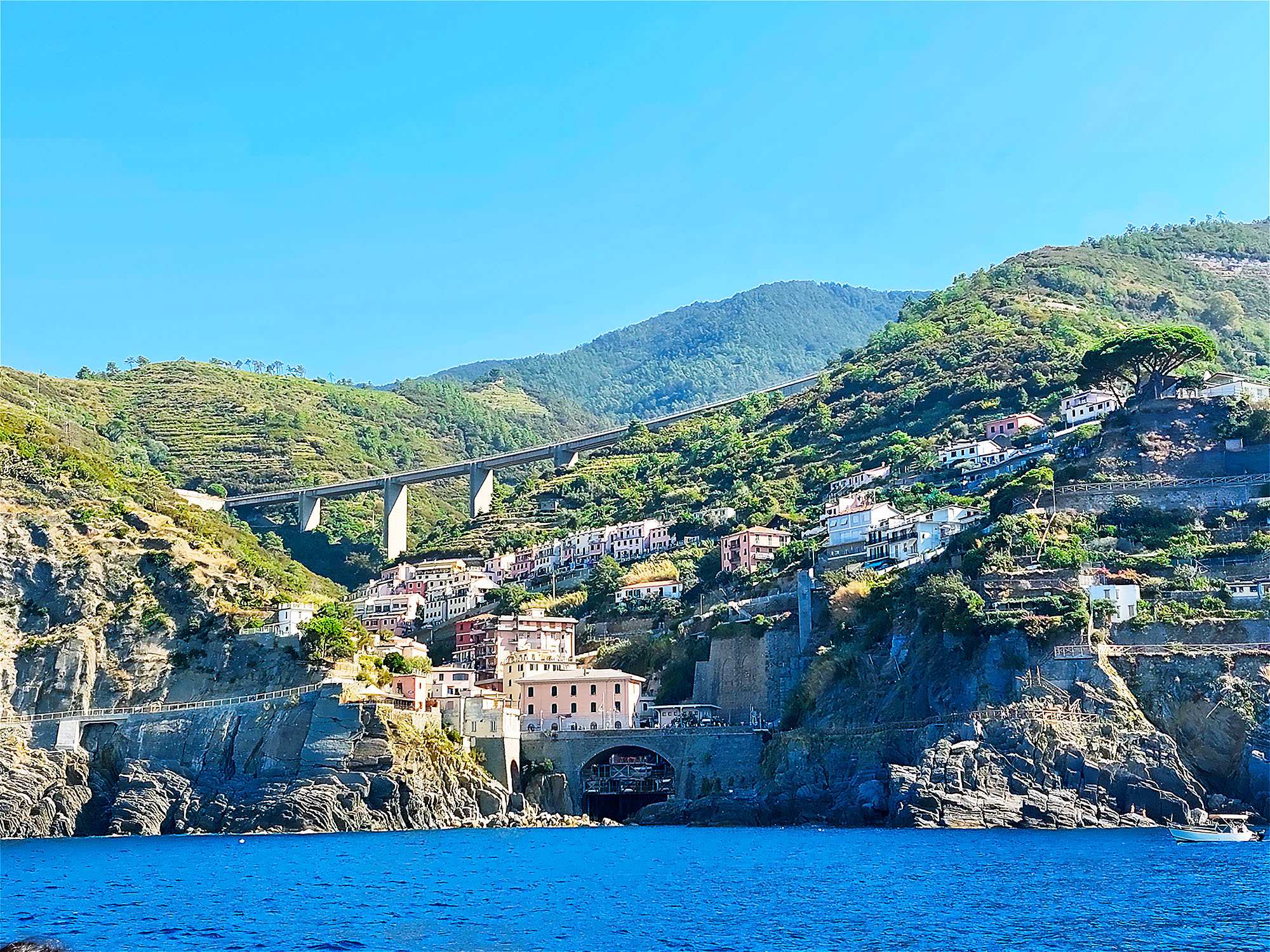 SINCERI AUGURI DI BUONE FESTE!