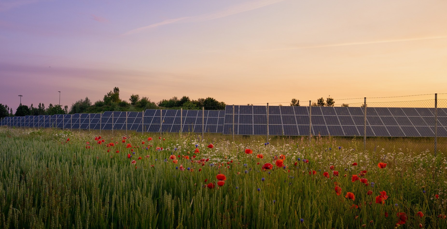 SOSTENIBILITA’ E IMPATTI IN PRIMA LINEA NEL NUOVO PIANO INDUSTRIALE DI INTESA SPA